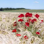 Сasa de vacaciones 8533-grenaa-fridavej-2 Grenå