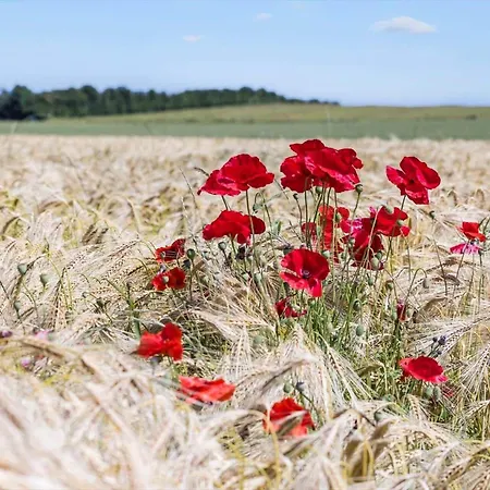 8533-grenaa-fridavej-2 *